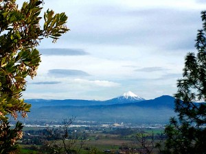 Pro Weld will send fabricator to wherever your jobsite is in the Southern Oregon area