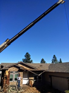 14 Ton Boom Truck Service Tree Removal by Pro Weld010105